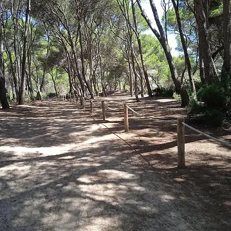 Mare Nostrum Apartman